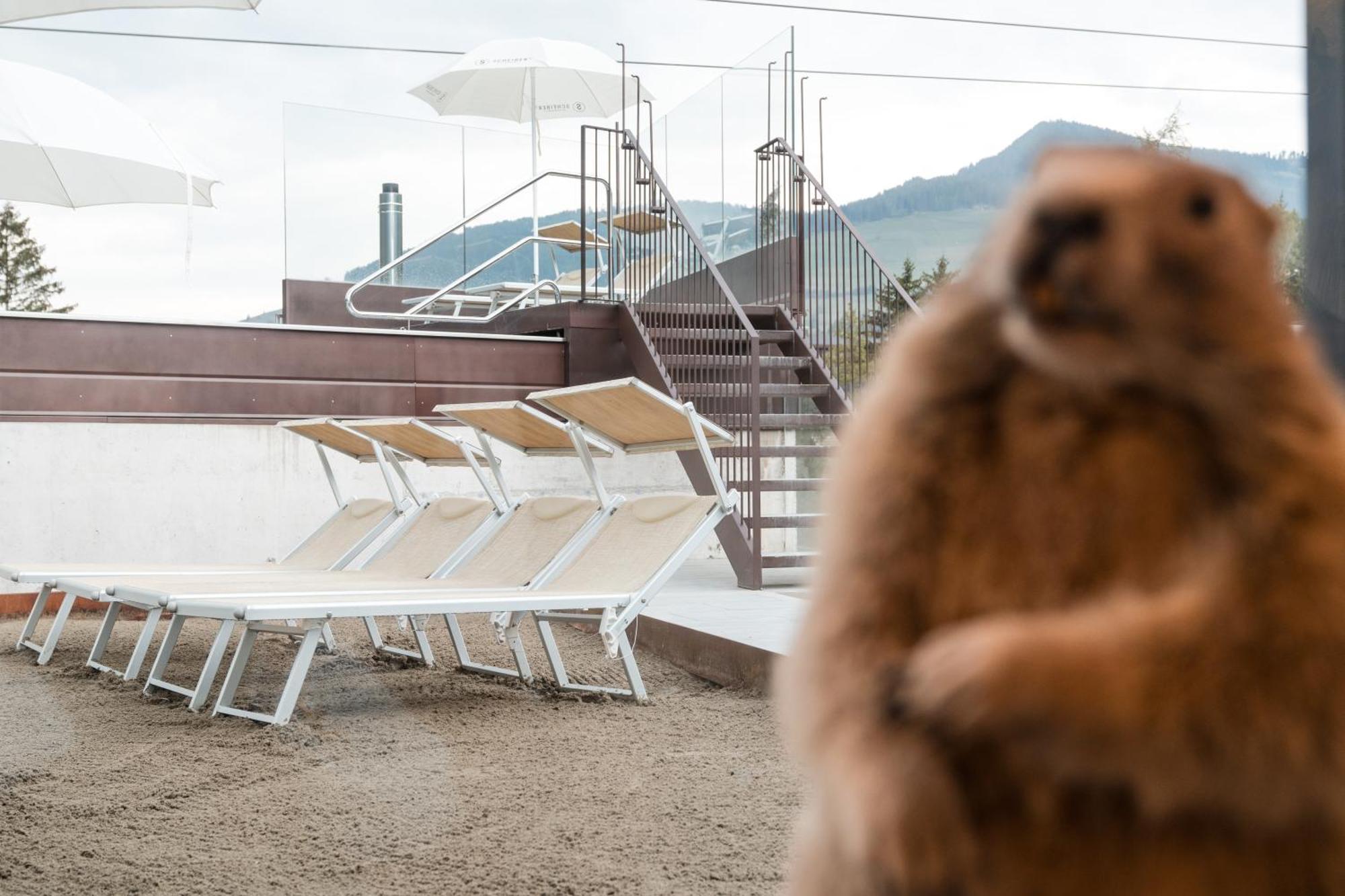 Al Plan, A Mountain Moving Hotel Сан-Виджилио-ди-Мареббе Экстерьер фото